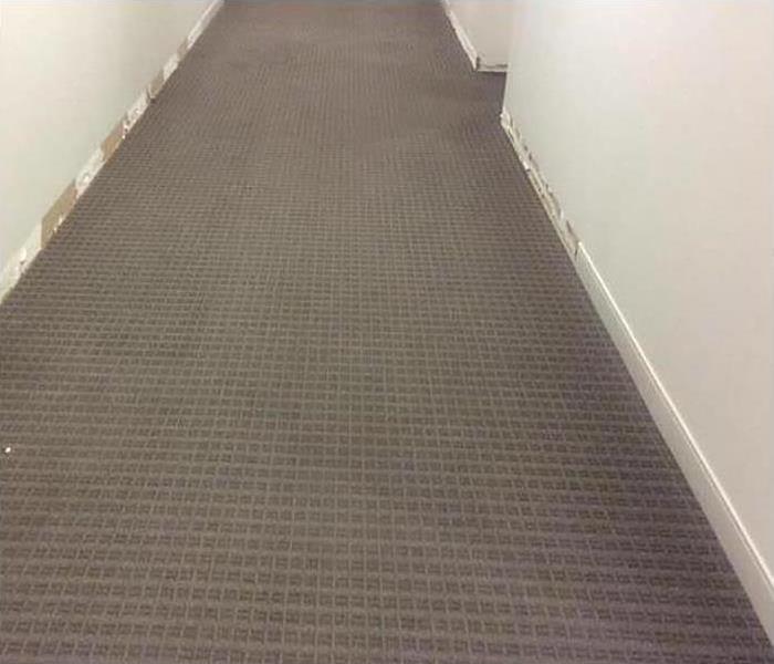 same office hallway with carpeting dried