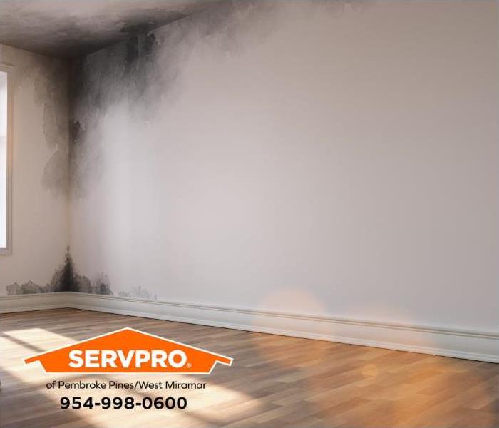 Walls in a home are covered in mold.