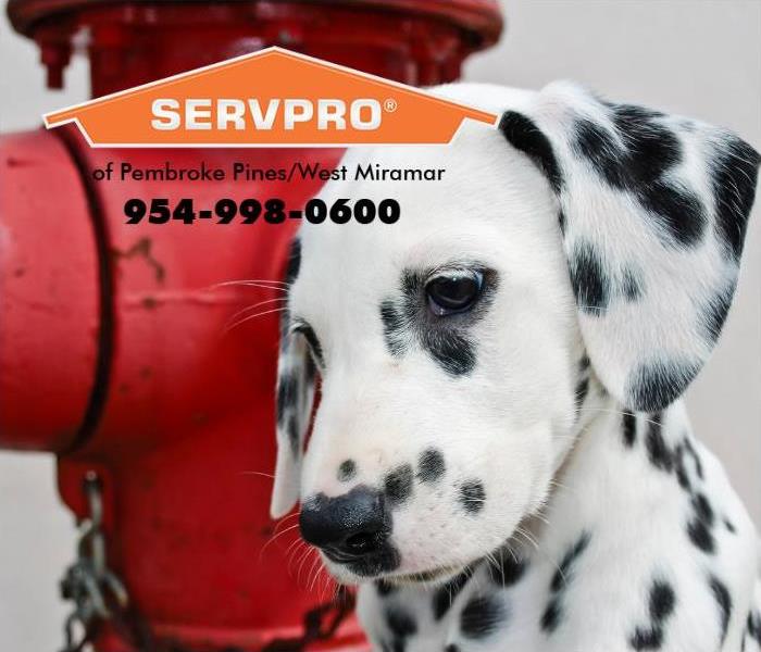 A Dalmatian puppy is sitting in front of a red fire hydrant.