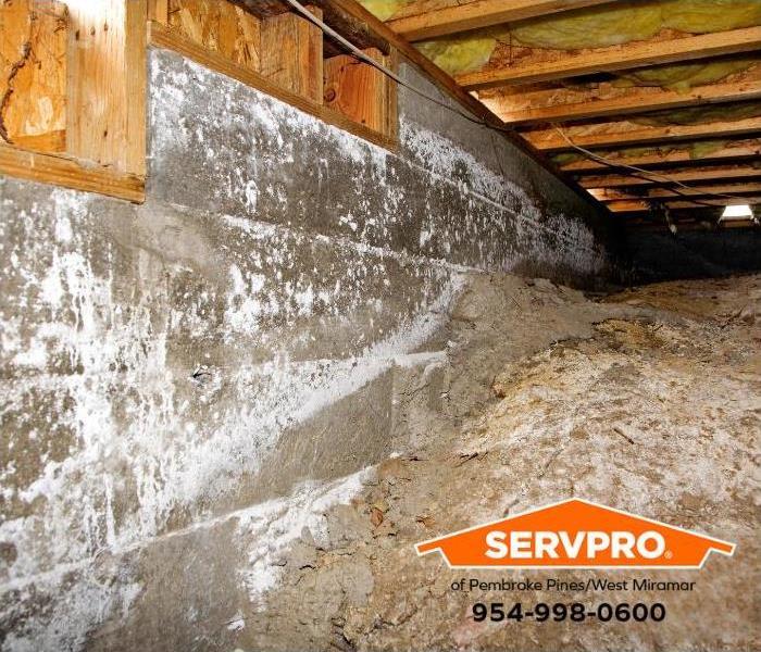 Walls of an unencapsulated crawl space show signs of mold and fungus growth.