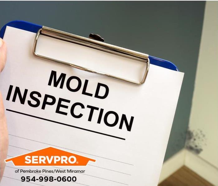 A mold inspection is underway.